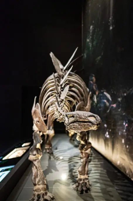 Naturalis-90