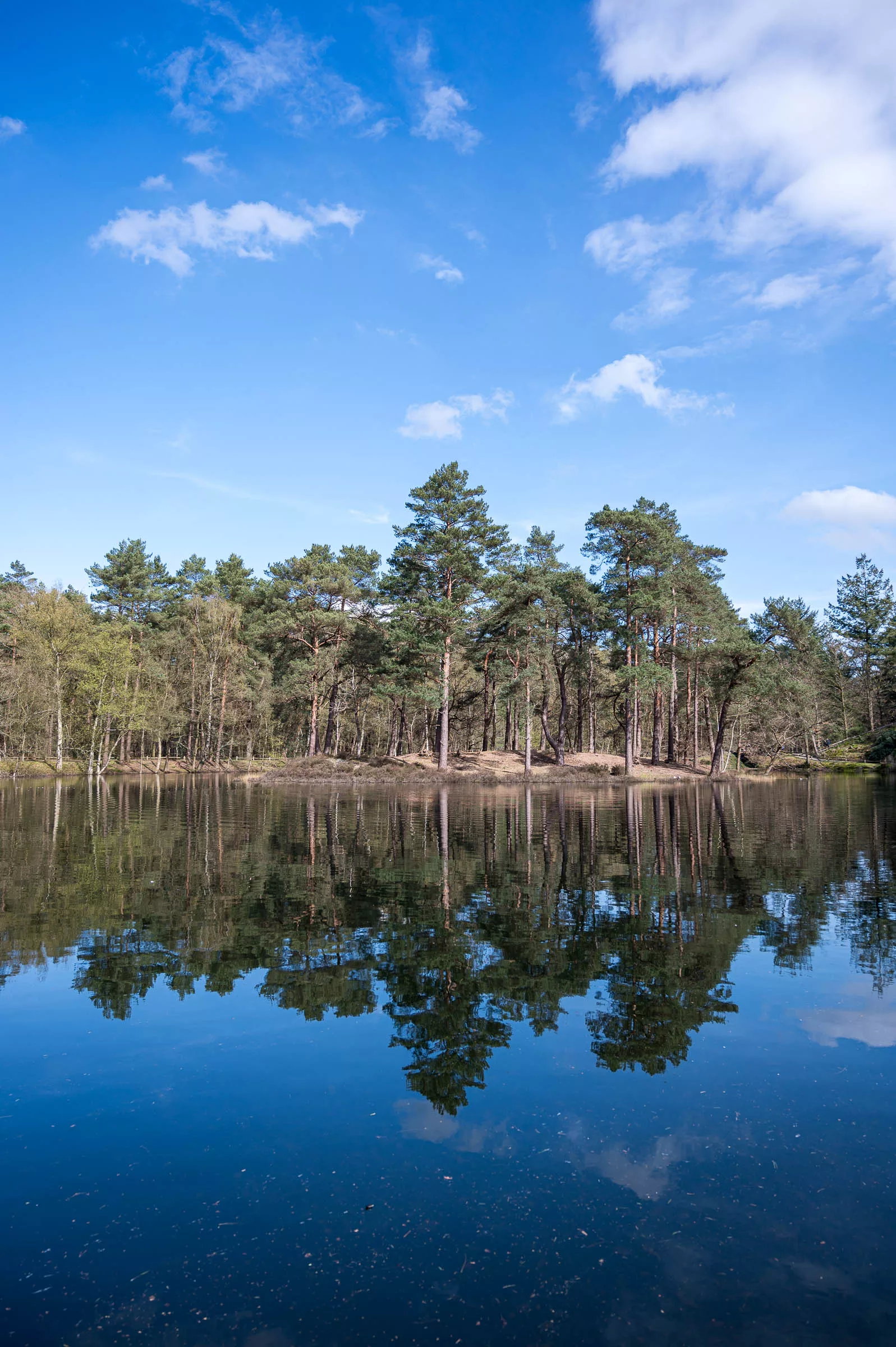 avontuur in de natuur