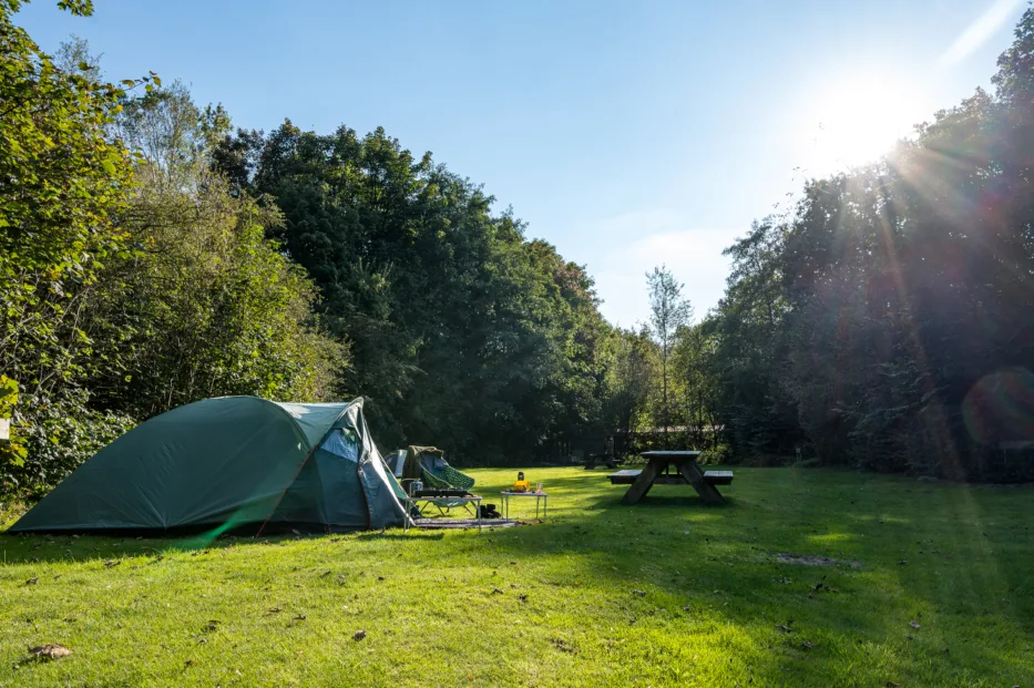 Kamperen in de natuur bij de Amsterdamse Waterleiding Duinen