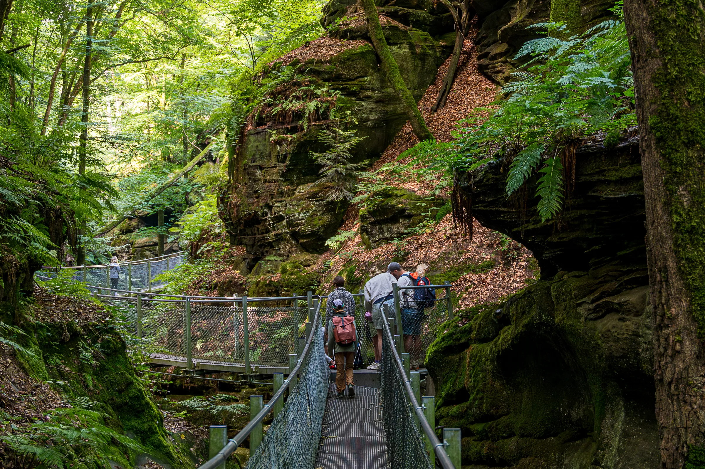 Müllerthal route B2 – een verborgen stenen wereld